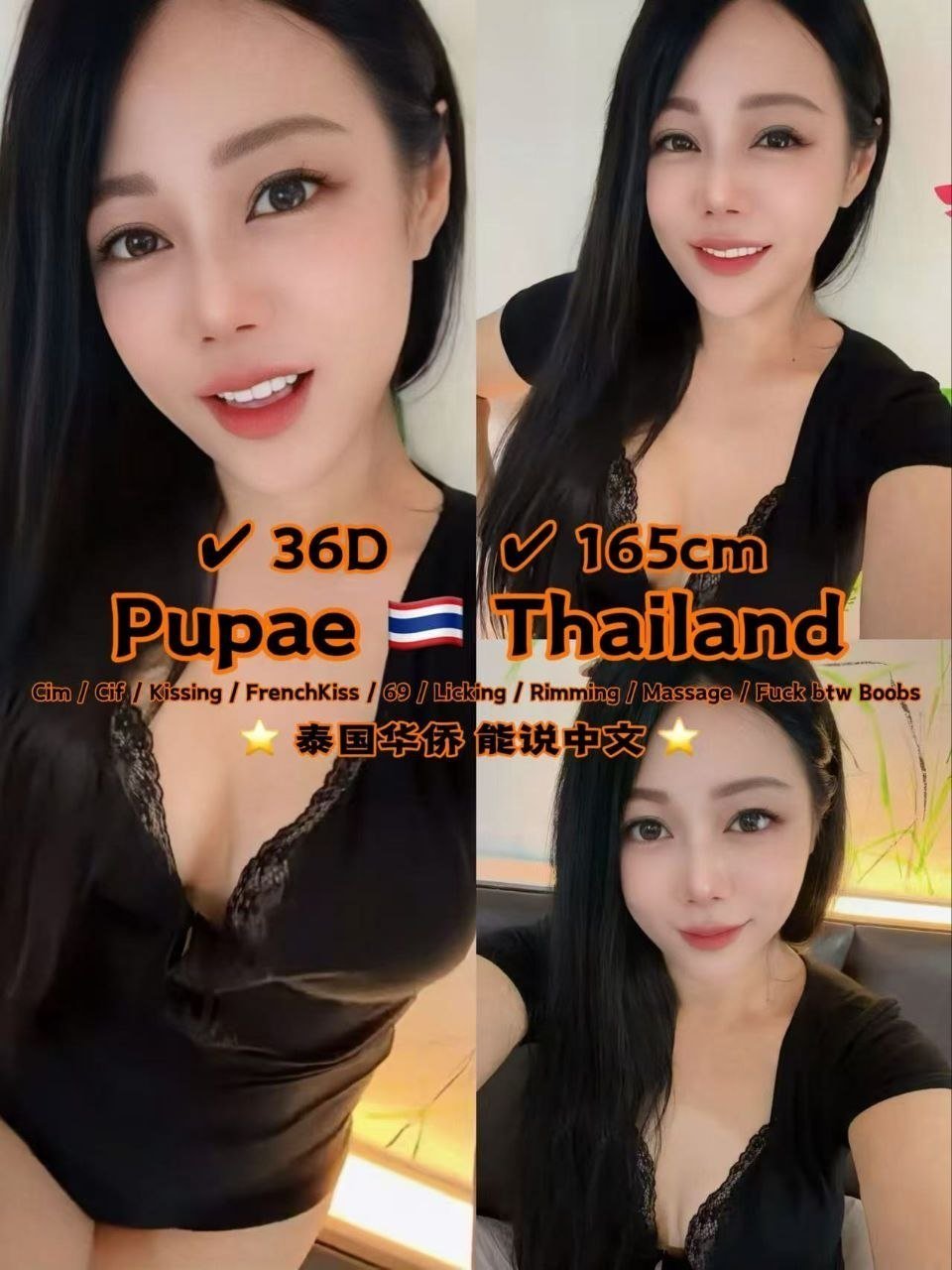 Pupae JB Escort PB